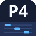P4 Language